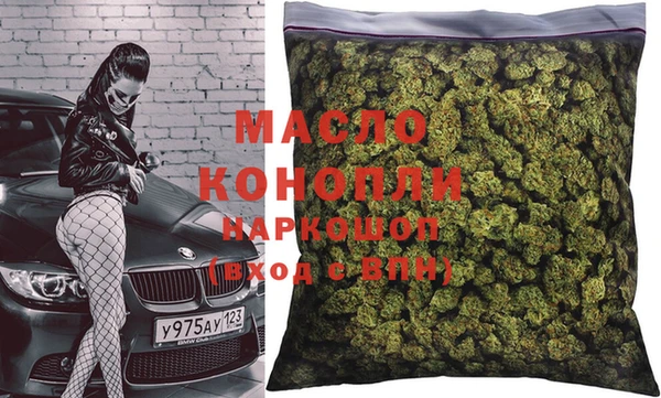 гидра Абаза
