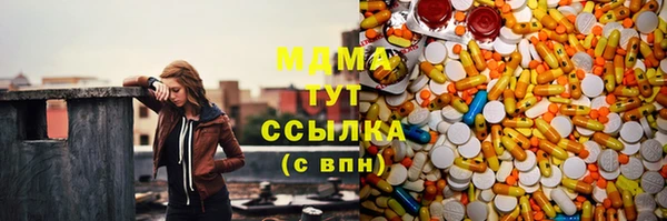 СК Алексин