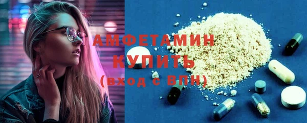 гидра Абаза