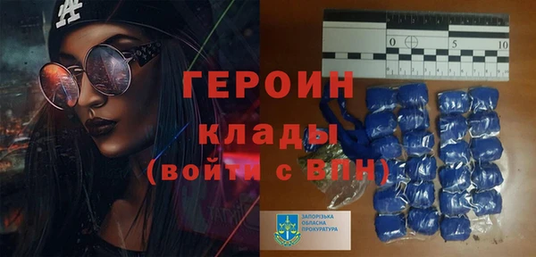 гидра Абаза