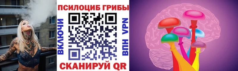 Псилоцибиновые грибы прущие грибы Данилов